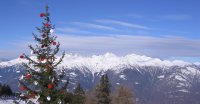 Mountain high Xmas tree